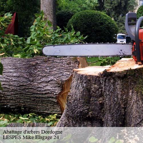 Abattage d'arbres 24 Dordogne  LESPES Mike Elagage 24