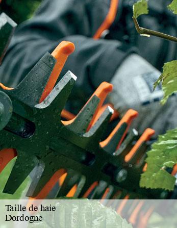Taille de haie Dordogne
