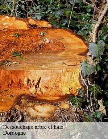 Dessouchage arbre et haie Dordogne 