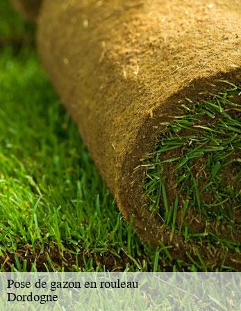 Pose de gazon en rouleau Dordogne 