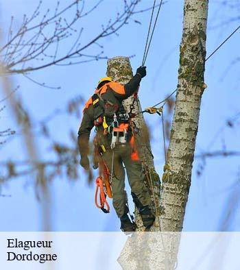 Elagueur Dordogne