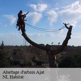Abattage d'arbres  ajat-24210 NL Habitat