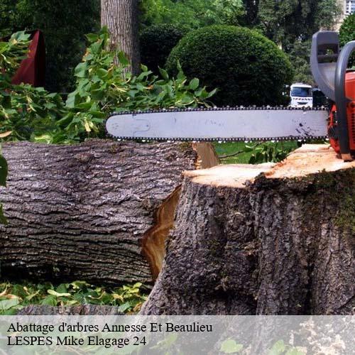Abattage d'arbres  annesse-et-beaulieu-24430 LESPES Mike Elagage 24