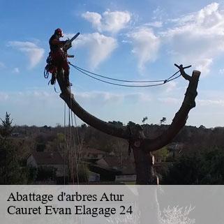 Abattage d'arbres  atur-24750 Cauret Evan Elagage 24