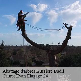 Abattage d'arbres bussiere-badil-24360 Cauret Evan Elagage 24