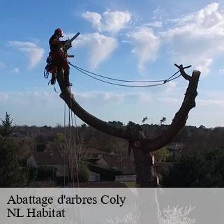 Abattage d'arbres coly-24120 NL Habitat