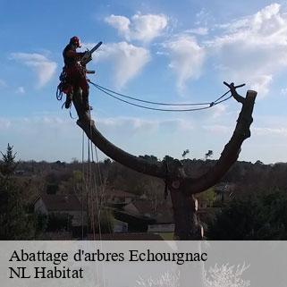 Abattage d'arbres  echourgnac-24410 NL Habitat 