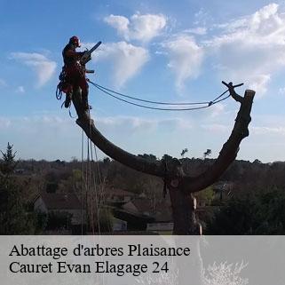 Abattage d'arbres plaisance-24560 Cauret Evan Elagage 24