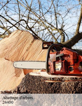 Abattage d'arbres 24400