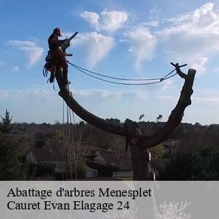 Abattage d'arbres  menesplet-24700 Cauret Evan Elagage 24