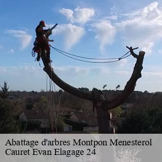Abattage d'arbres montpon-menesterol-24700 Cauret Evan Elagage 24