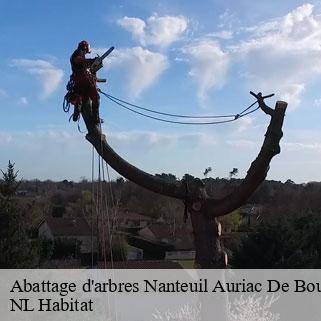 Abattage d'arbres nanteuil-auriac-de-bourza-24320 NL Habitat