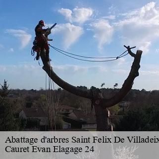 Abattage d'arbres  saint-felix-de-villadeix-24510 Cauret Evan Elagage 24