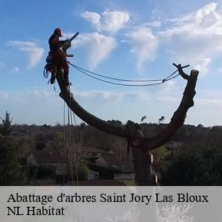 Abattage d'arbres saint-jory-las-bloux-24160 NL Habitat
