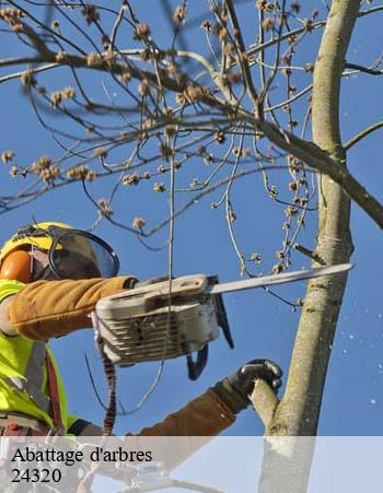 Abattage d'arbres 24320