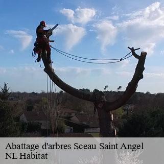 Abattage d'arbres  sceau-saint-angel-24300 NL Habitat 