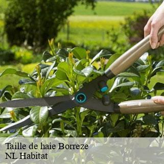 Taille de haie  borreze-24590 NL Habitat