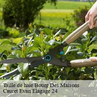 Taille de haie  bourg-des-maisons-24320 Cauret Evan Elagage 24