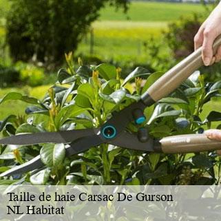 Taille de haie carsac-de-gurson-24610 NL Habitat