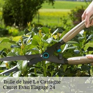 Taille de haie  la-cassagne-24120 Cauret Evan Elagage 24