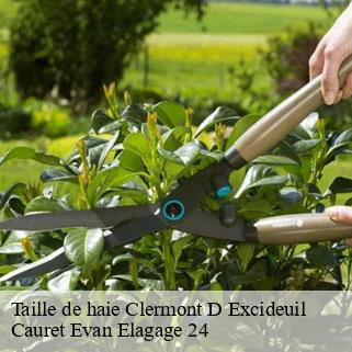 Taille de haie clermont-d-excideuil-24160 Cauret Evan Elagage 24
