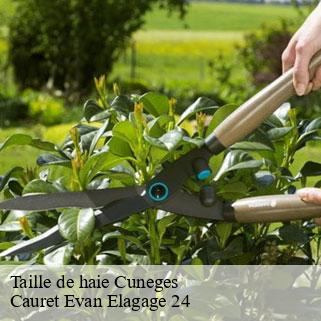Taille de haie cuneges-24240 Cauret Evan Elagage 24