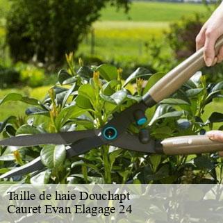 Taille de haie  douchapt-24350 Cauret Evan Elagage 24