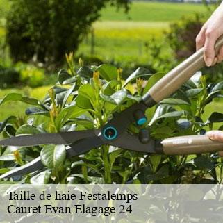 Taille de haie festalemps-24410 Cauret Evan Elagage 24