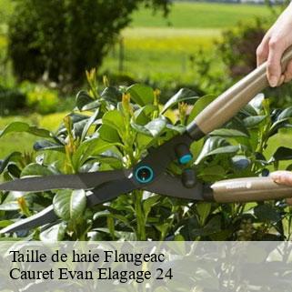 Taille de haie  flaugeac-24240 Cauret Evan Elagage 24