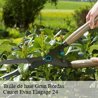 Taille de haie  grun-bordas-24380 Cauret Evan Elagage 24