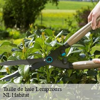 Taille de haie lempzours-24800 NL Habitat
