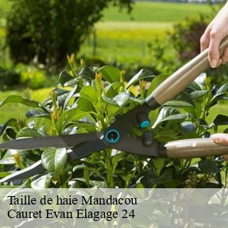 Taille de haie  mandacou-24560 Cauret Evan Elagage 24