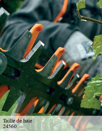 Taille de haie 24560