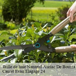 Taille de haie nanteuil-auriac-de-bourza-24320 Cauret Evan Elagage 24