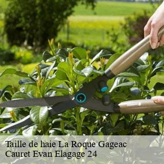 Taille de haie  la-roque-gageac-24250 Cauret Evan Elagage 24