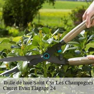 Taille de haie  saint-cyr-les-champagnes-24270 Cauret Evan Elagage 24