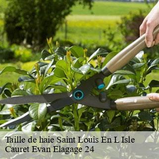 Taille de haie  saint-louis-en-l-isle-24400 Cauret Evan Elagage 24