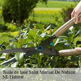 Taille de haie  saint-martial-de-nabirat-24250 NL Habitat 