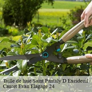 Taille de haie  saint-pantaly-d-excideuil-24160 Cauret Evan Elagage 24