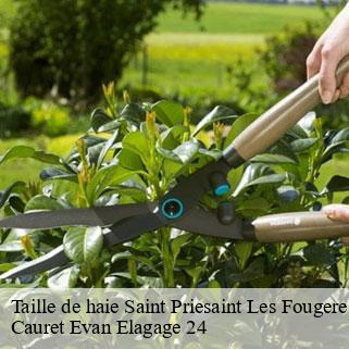 Taille de haie  saint-priesaint-les-fougeres-24450 Cauret Evan Elagage 24