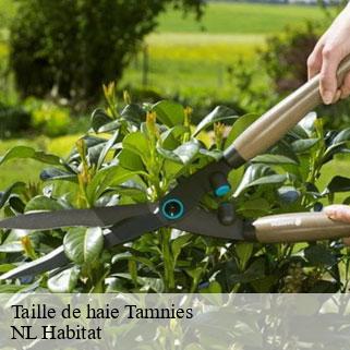 Taille de haie tamnies-24620 NL Habitat