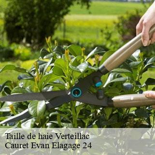 Taille de haie  verteillac-24320 Cauret Evan Elagage 24