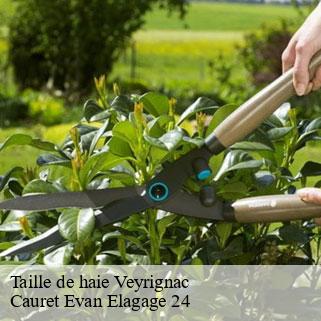 Taille de haie  veyrignac-24370 Cauret Evan Elagage 24