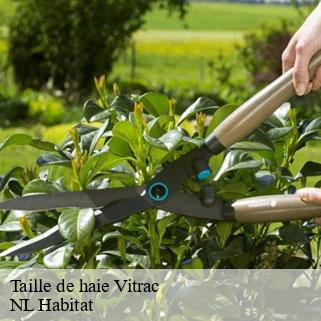 Taille de haie vitrac-24200 NL Habitat