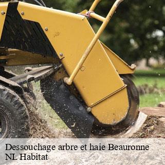 Dessouchage arbre et haie  beauronne-24400 NL Habitat 