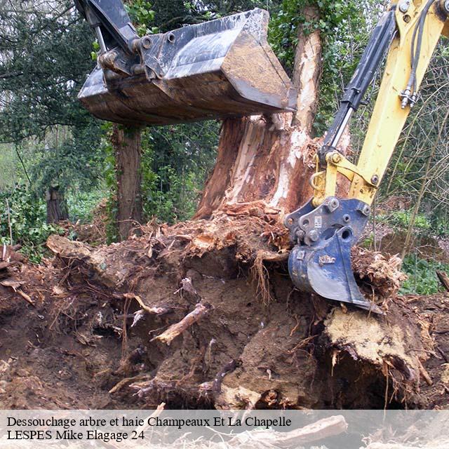 Dessouchage arbre et haie  champeaux-et-la-chapelle-24340 LESPES Mike Elagage 24