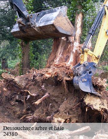 Dessouchage arbre et haie  24380