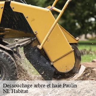 Dessouchage arbre et haie  paulin-24590 NL Habitat