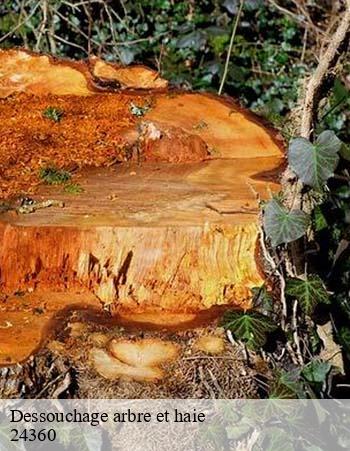 Dessouchage arbre et haie 24360