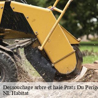Dessouchage arbre et haie prats-du-perigord-24550 NL Habitat